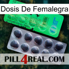 Femalegra Dosage new04